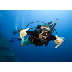 Open Water Diver Course